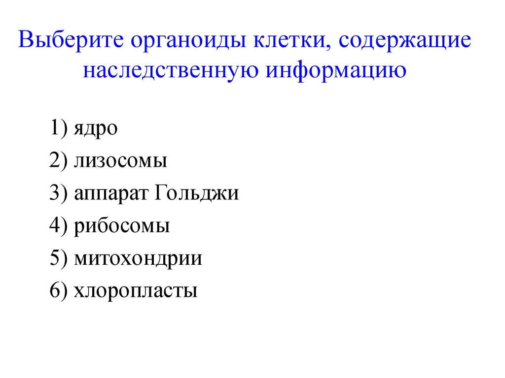 органоиды клетки содержащие наследственную информацию