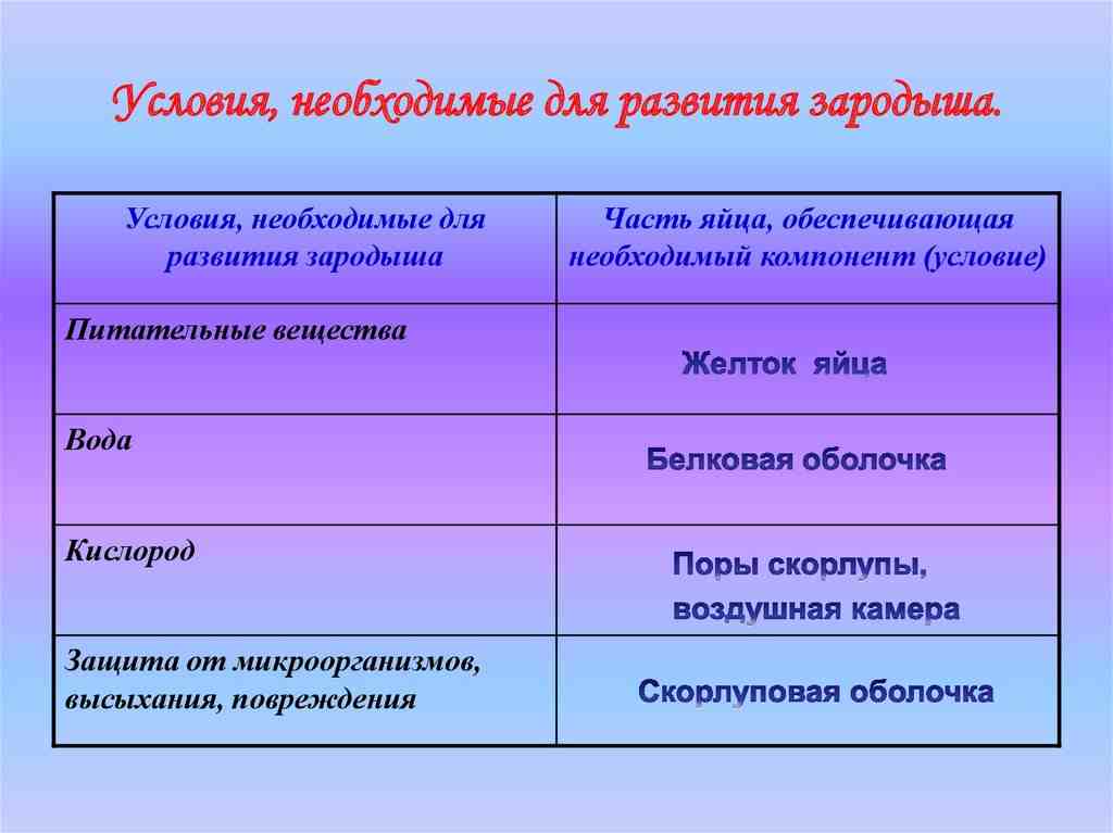 откуда зародыш получает все необходимое