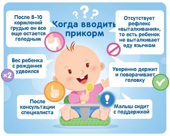 первый прикорм для грудничков с чего начинать