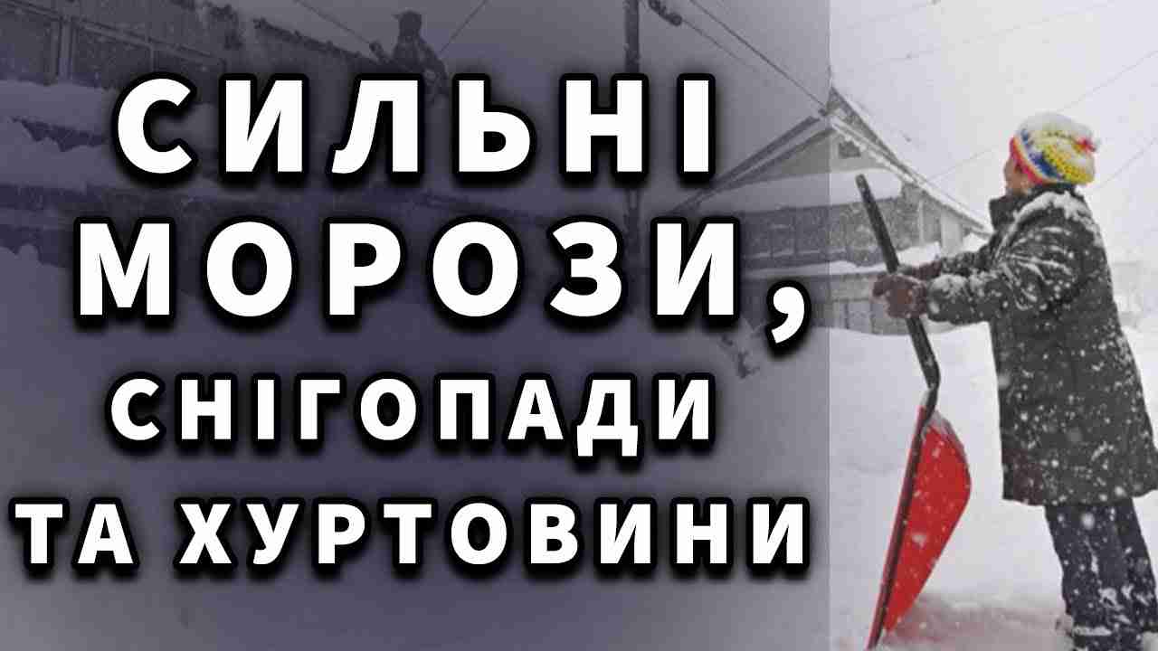 погода до конца года 2024
