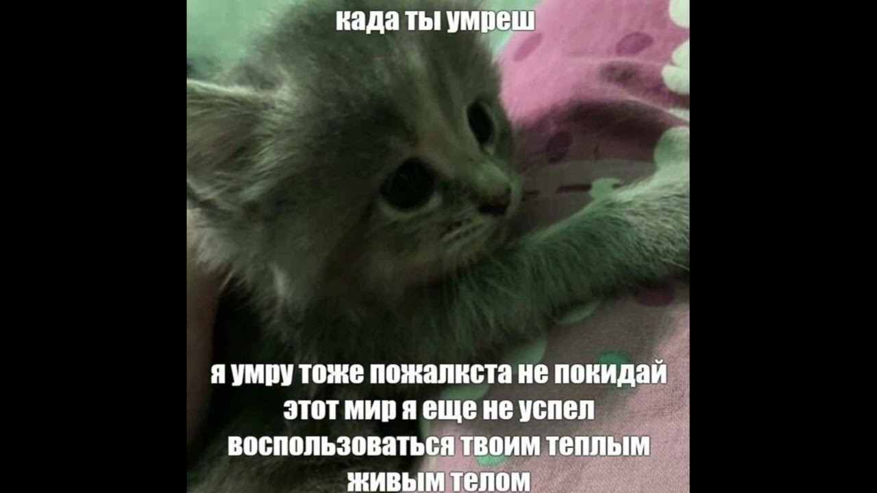пожалуйста не умирай или мне придется тоже