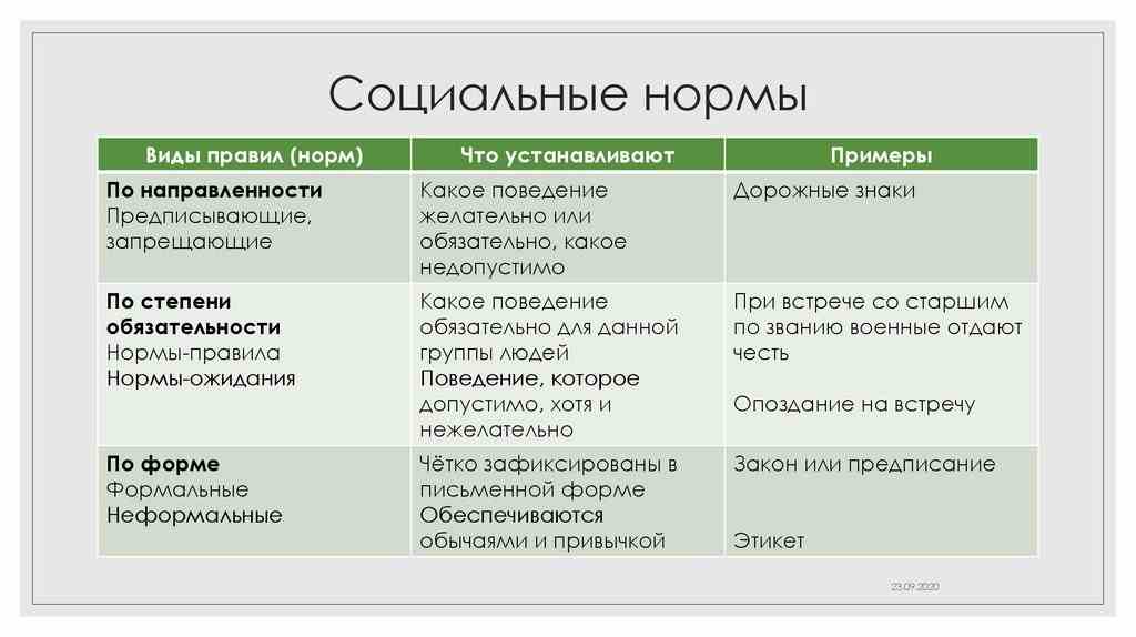 приведите примеры каждого вида социальных норм
