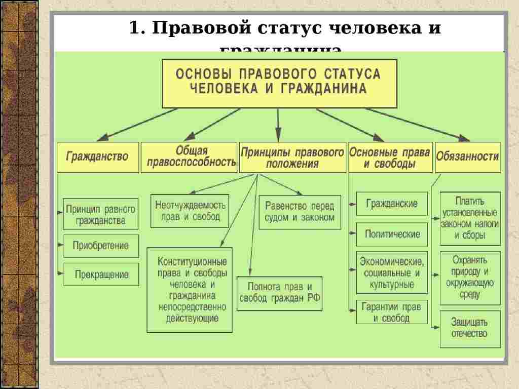 принципы правового статуса человека и гражданина