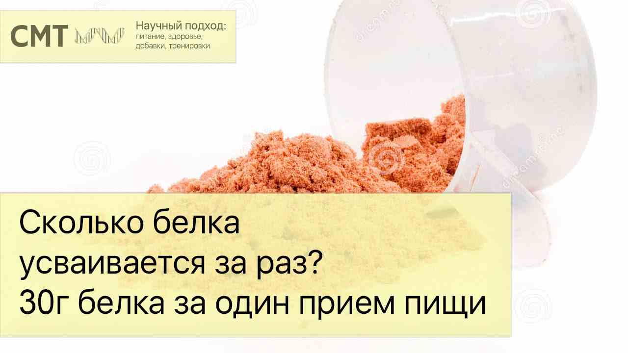 протеин для чего он нужен