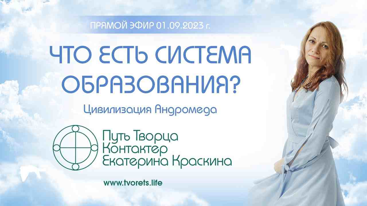 система образования включает в себя