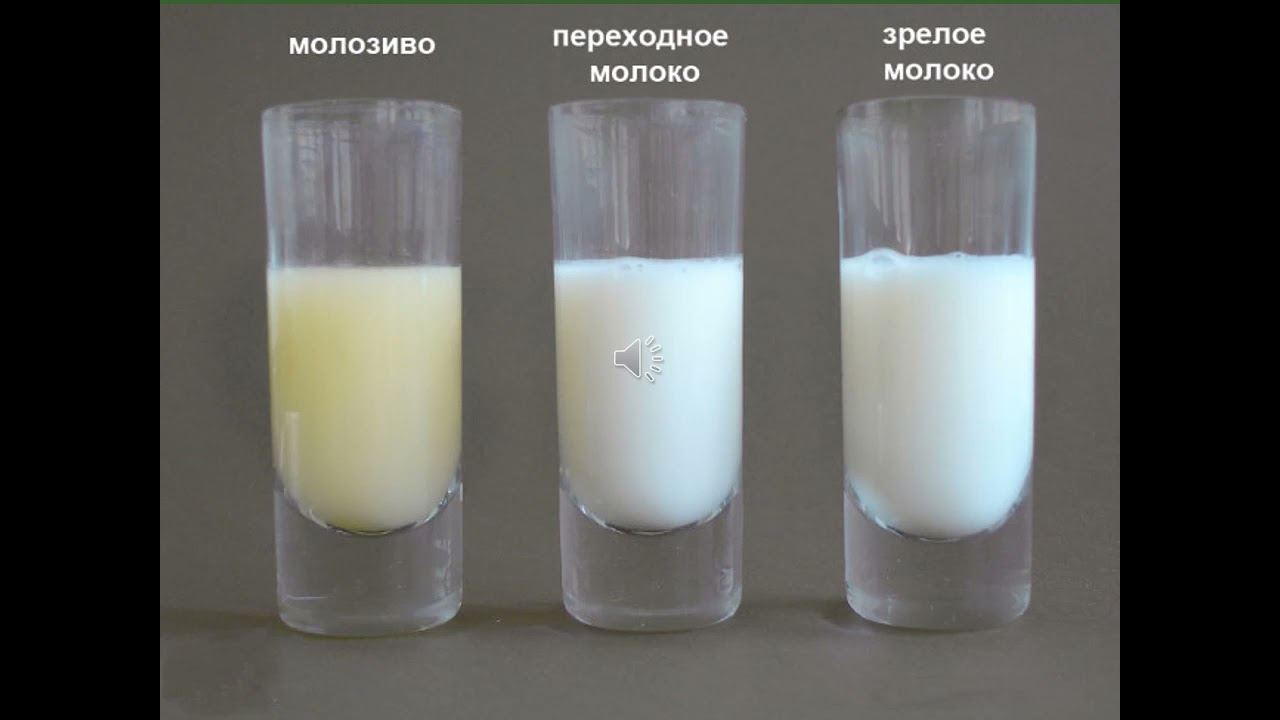 скисание молока это физическое или химическое явление