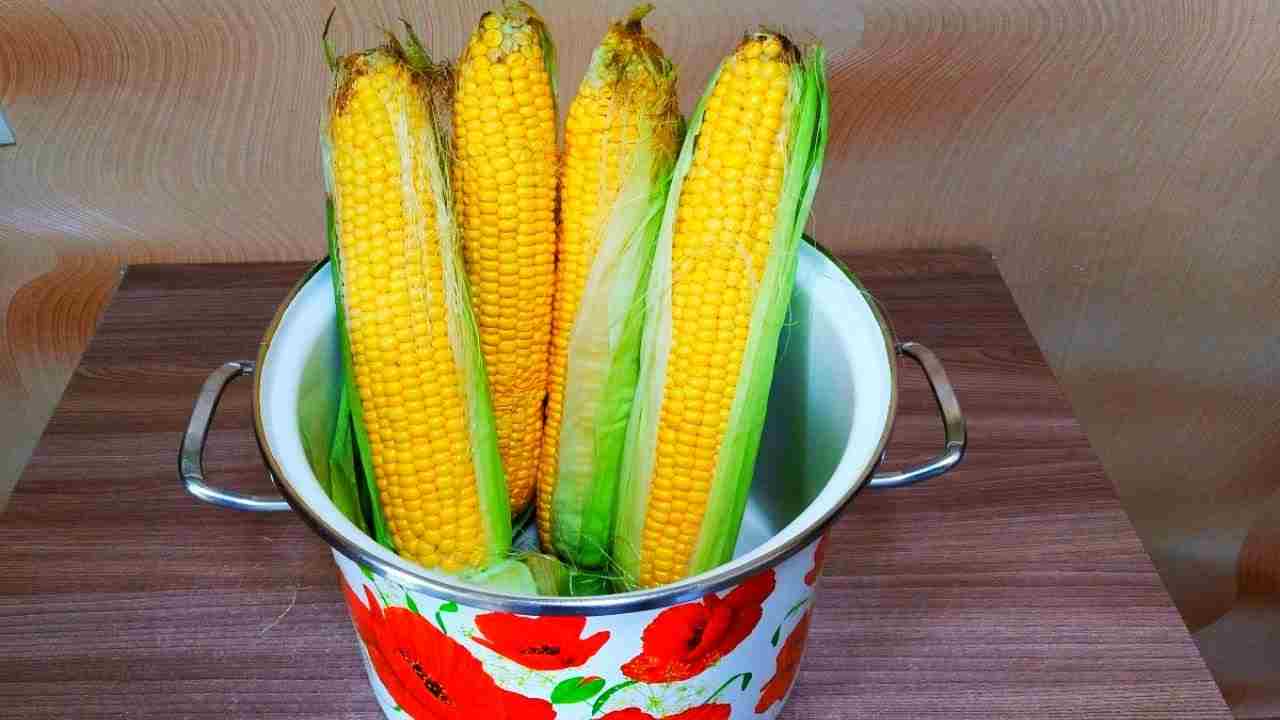 сколько варить палтус кусочками в кастрюле