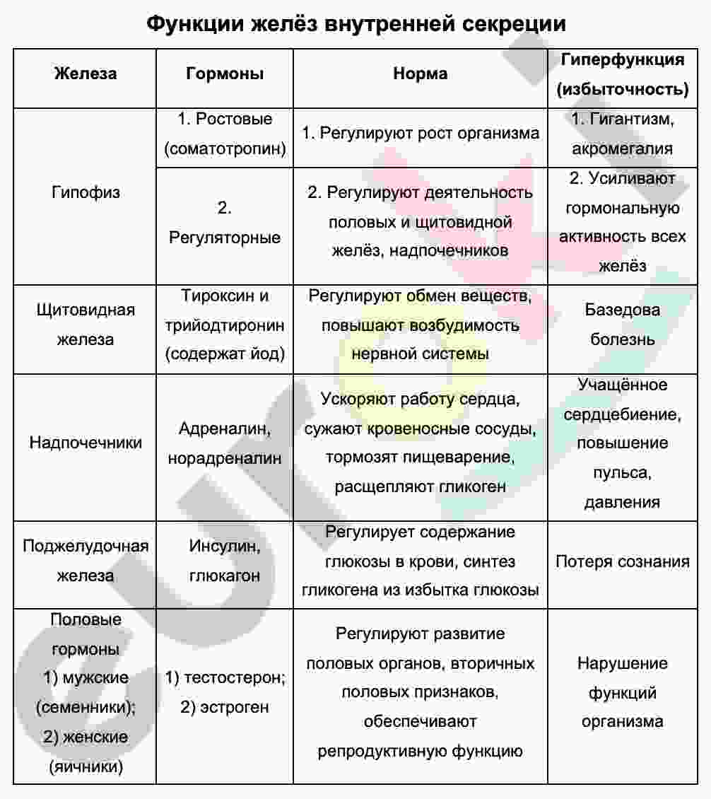 таблица по железам внутренней секреции