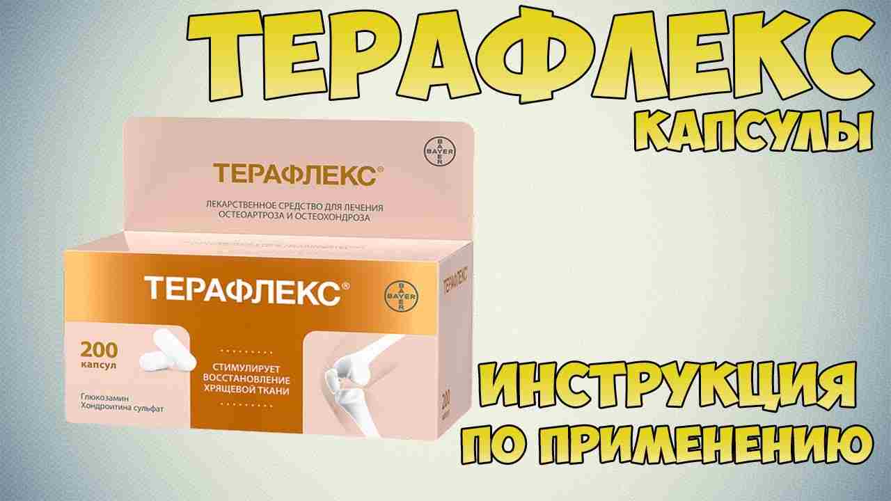 терафлекс капсулы инструкция по применению