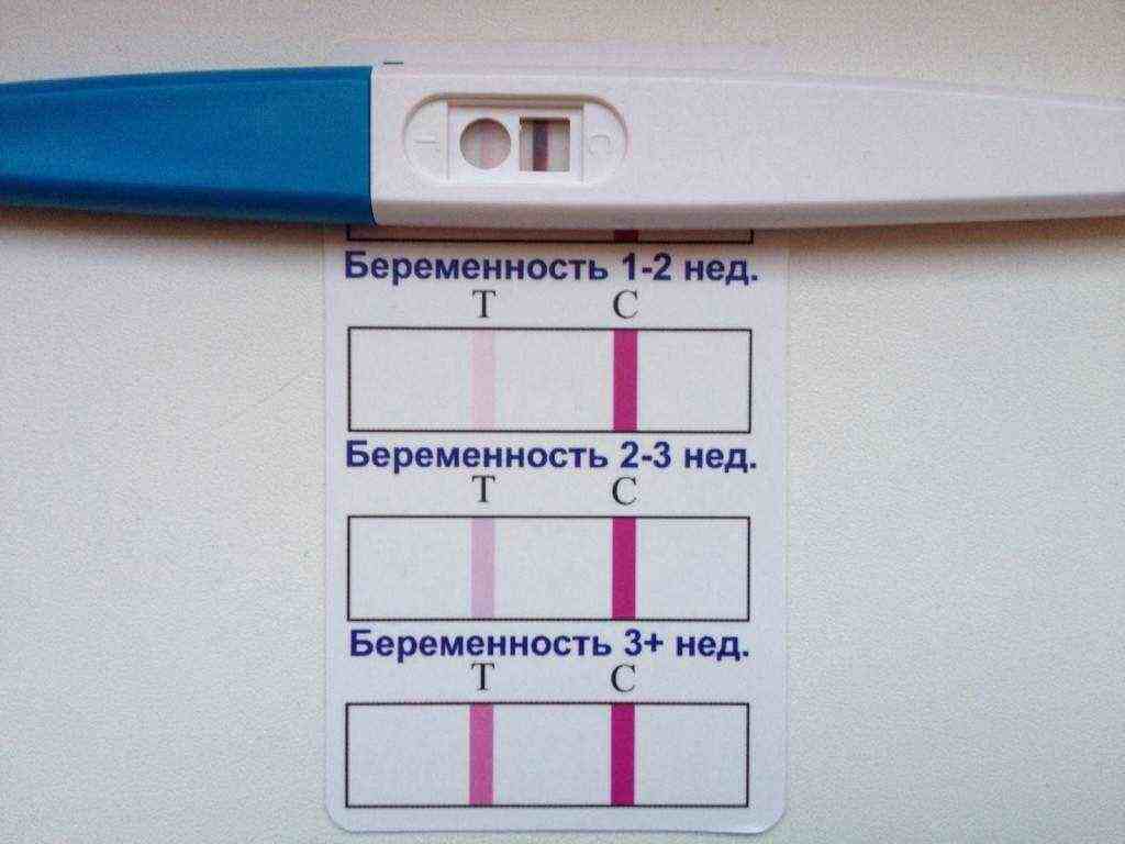 тест на беременность когда показывает результат