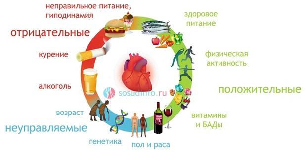 факторы влияющие на здоровье человека