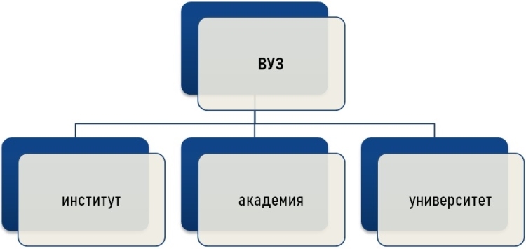 чем отличается институт от университета