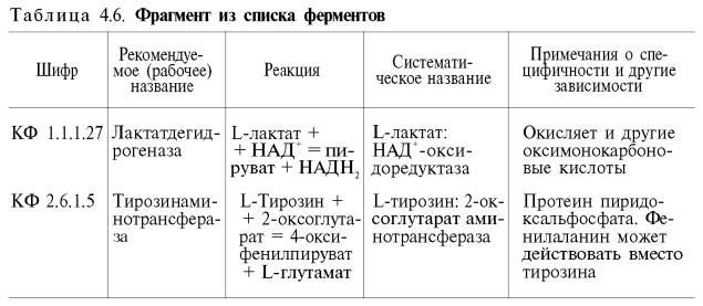 что входит в состав ферментов