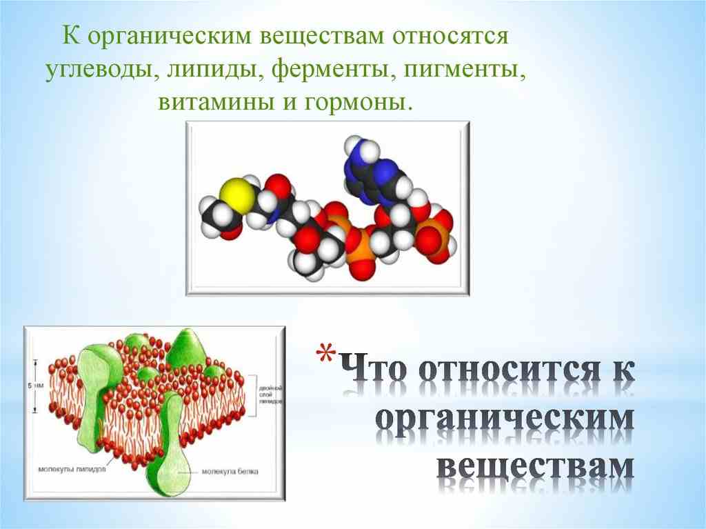 что относится к органическим веществам