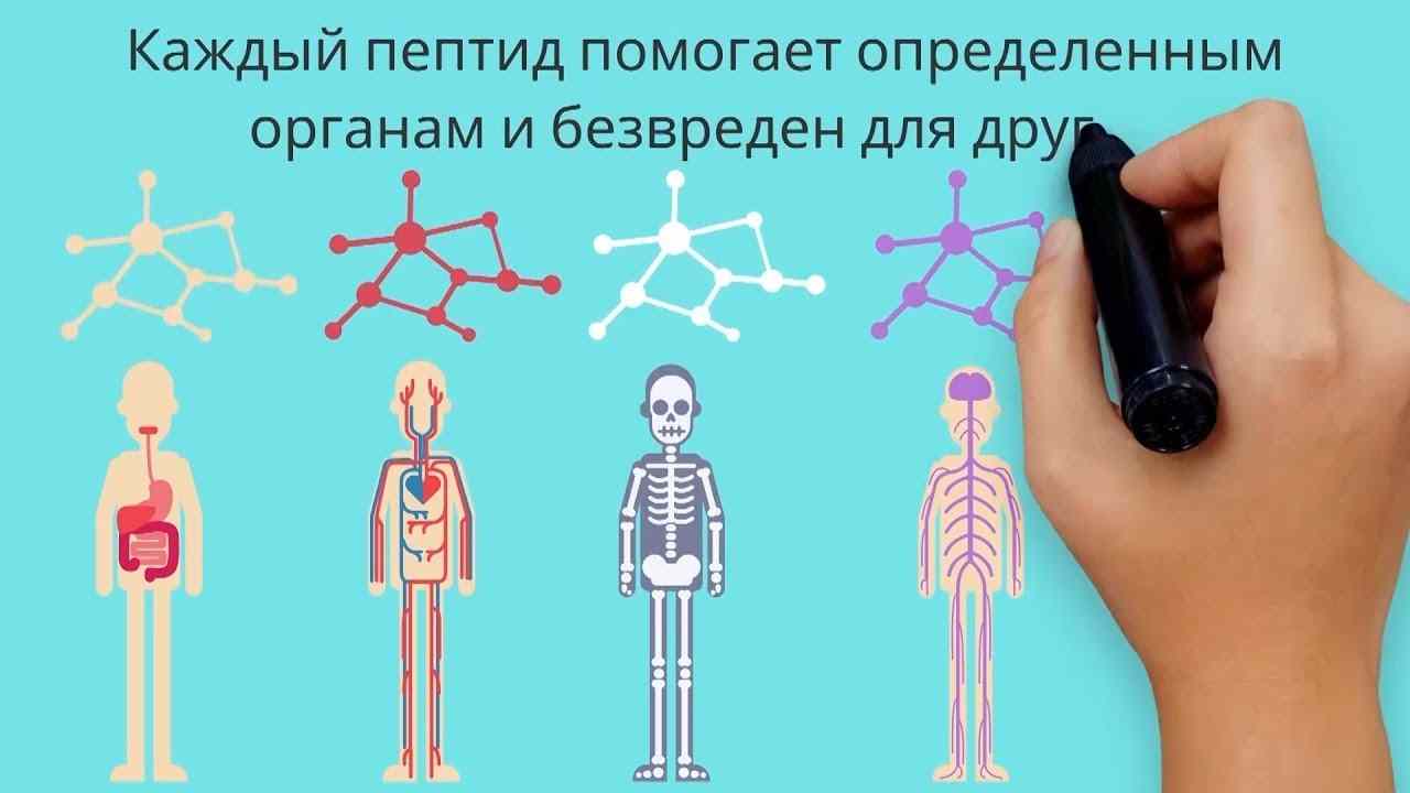 эндолутен капсулы инструкция по применению цена отзывы