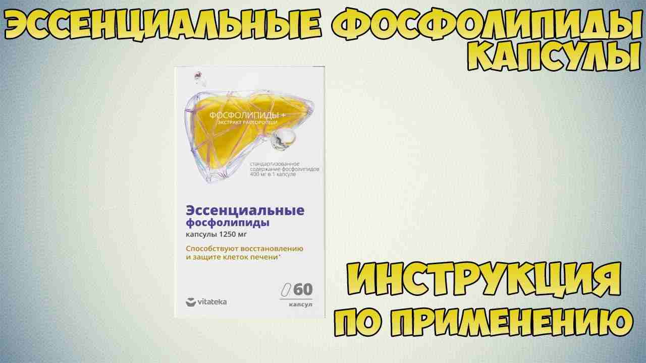 эссенциальные фосфолипиды капсулы инструкция по применению